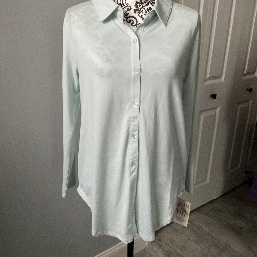 Light powder green, button down, long sleeve shirt.